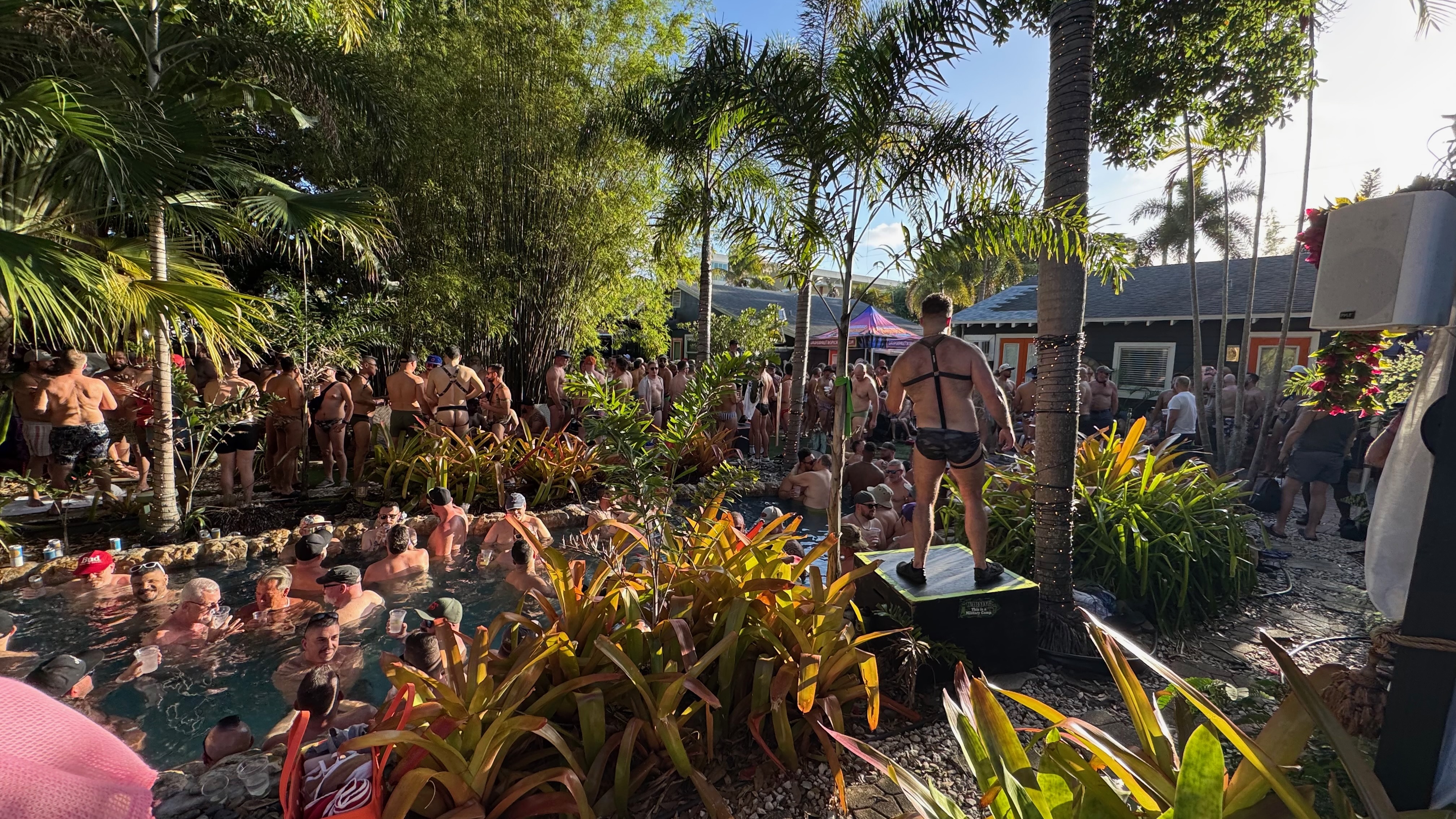 Tropical Bear Week guests