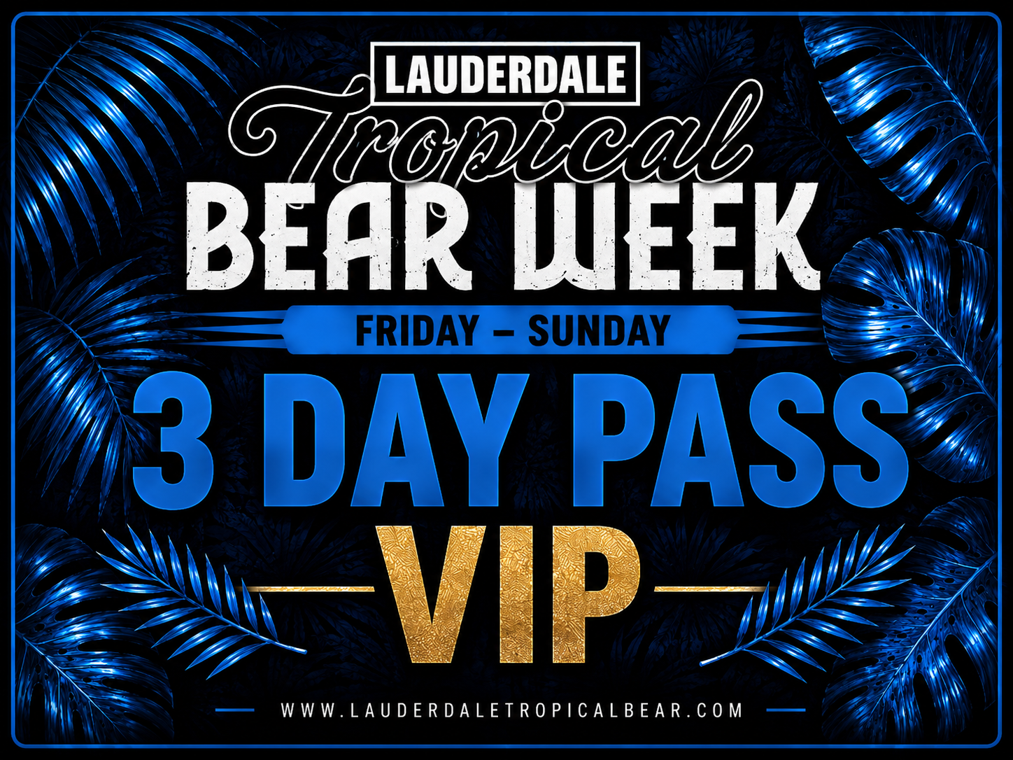 3-Day VIP Pass